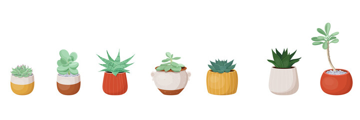 Set of different types of succulent plants in flower pots. Vector illustration