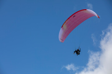 Paragliders in bright blue sky, tandem of instructor and beginner