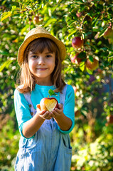 Child with Child with an apple. Selective focus. Garden