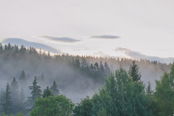fog over the mountains