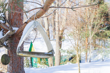 A bird feeder hangs on a tree in the village yard - 488169596