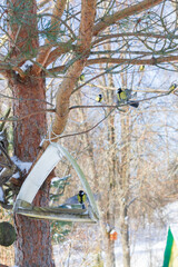 A bird feeder hangs on a tree in the village yard - 488169708