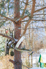 A bird feeder hangs on a tree in the village yard - 488169735