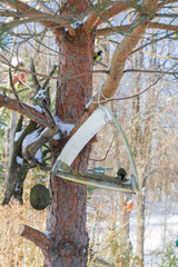 A bird feeder hangs on a tree in the village yard - 488169787