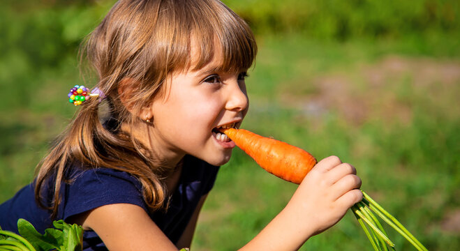 Child with vegetables in the garden. Selective focus.