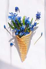 Spring blue flowers in a waffle cone on a white background with sun shadow.