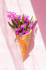 Spring pink flowers in a waffle cone on a pink background. Creative spring idea.