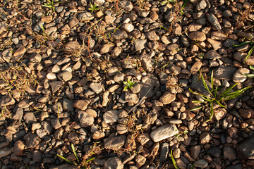 pebble riverbank, texture, rocky shore, texture