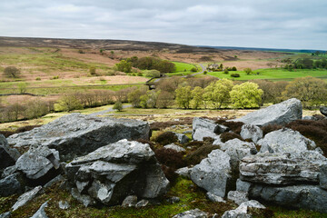 Footpath flanked by large rocks, heather, fields, and trees under overcast sky. Goathland, UK.