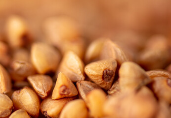 Close-up of buckwheat groats as background.