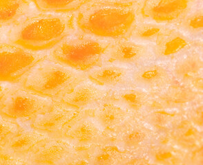 Yellow skin on the paws of a goose as a background.