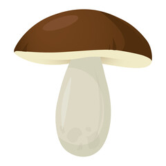 Mushroom Boletus Vector Icon Cartoon cep drawing - obrazy, fototapety, plakaty