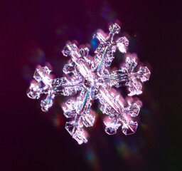 Snowflakes on a purple background with reflection.