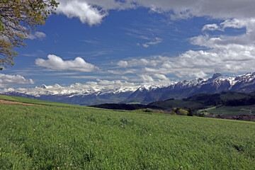 Fototapeta premium Aussicht vom Belpberg, Bern, Schweiz 