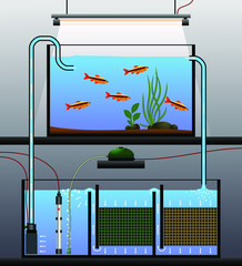 Schematic diagram of an aquarium with external sump filtration. Vector illustration of an aquarium filter. 
