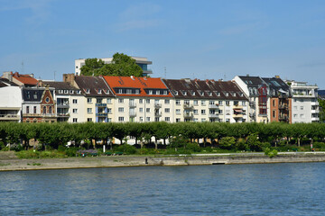 Fototapeta na wymiar Rhine valley; Germany- august 11 2021 : a cruise on the Rhine