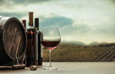 Vineyard and wine tasting experience