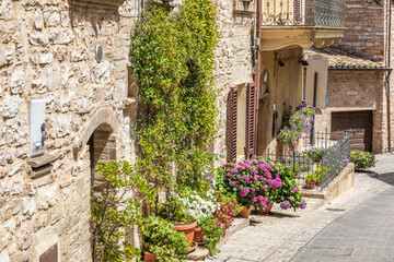 Obraz na płótnie Canvas Flowers in ancient street located in Spello village. Umbria Region, Italy.