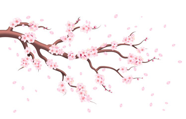 Pink spring flowers, a blooming fruit tree, a branch of apricot, cherry or sakura blossom. © gossip7