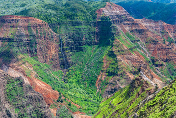 waimea canyon