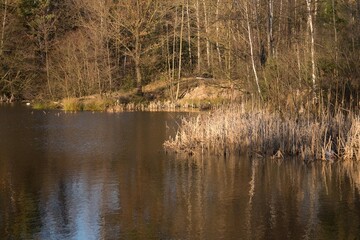 Fototapeta na wymiar on the pond in the winter day with no snow