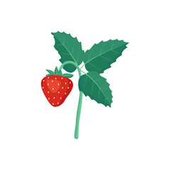 Strawberries with leaves. Harvesting in the garden or forest. Delicious sweet food, snack, dessert