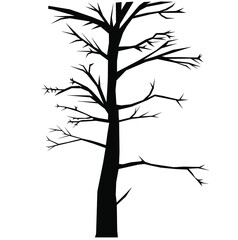 silhouette of a tree