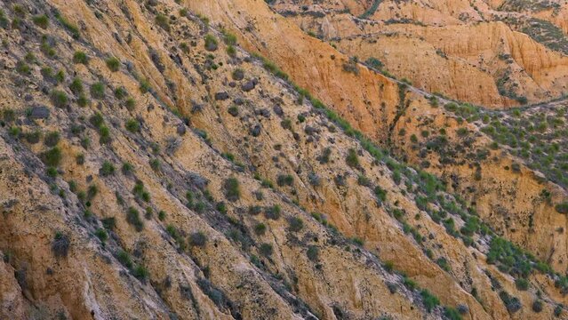 Eroded landscape of the C&aacute;rcavas or Barrancas de Buruj&oacute;n in the surroundings of the Castrej&oacute;n reservoir. Province of Toledo, Castilla-La Mancha, Spain, Europe