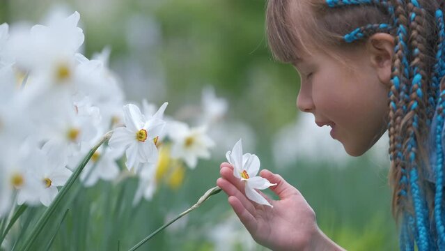 Happy child girl enjoying sweet smell of white narcissus flowers in summer garden
