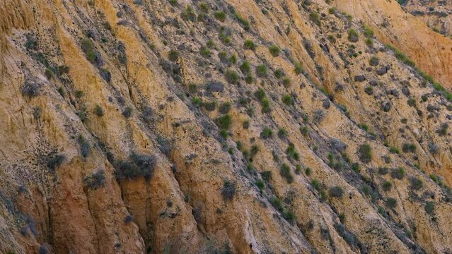 Eroded landscape of the C&aacute;rcavas or Barrancas de Buruj&oacute;n in the surroundings of the Castrej&oacute;n reservoir. Province of Toledo, Castilla-La Mancha, Spain, Europe
