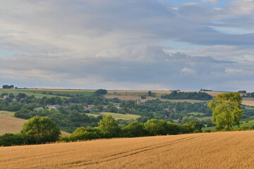 fields in the countryside