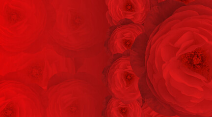 red roses flower bouquet on red background, decor, banner, template, nature, name card, copy space