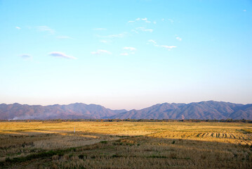 Rice harvested fields and mountain on background