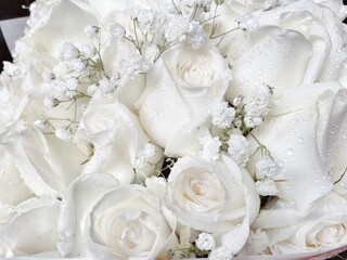 Beautiful of white rose flower bouquet background