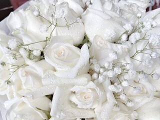 Beautiful of white rose flower bouquet background