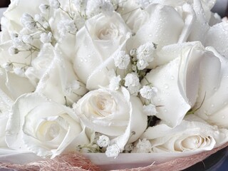 Beautiful of white rose flower bouquet background