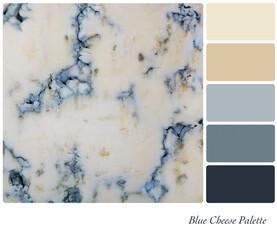 Blue Cheese Palette with complimentary colour swatches in blue and cream tones. 