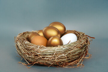 golden color egg concept of enrichment and wealth	
