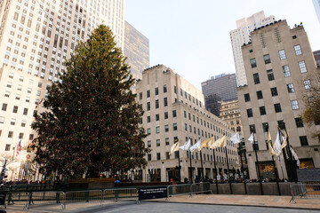 The Rockefeller Center Christmas Tree is a large Christmas tree placed annually in Rockefeller Center, in Midtown Manhattan, New York City. 