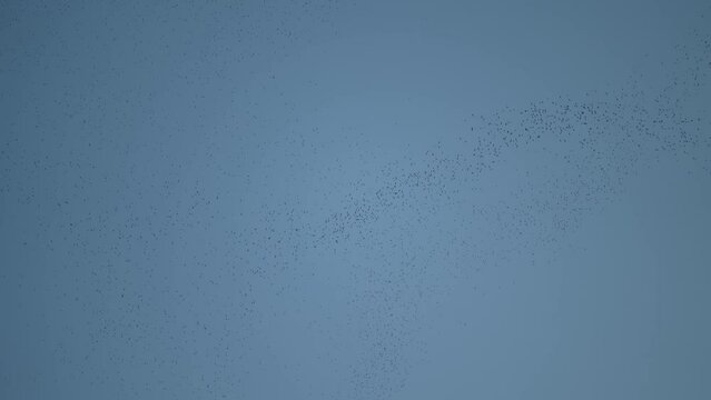 wave colony of flying fox or fruit bats are flying over the mountain with blue sky sunset to night, silhouette of migrate mammals wings on forest landscape scenic, concept for Halloween and Dracula