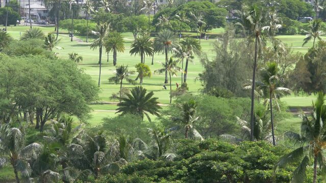 Golf field in tropics in 4k slow motion 60fps