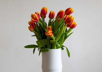 bouquet of tulips