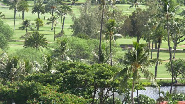 Golf field in tropics in 4k slow motion 60fps