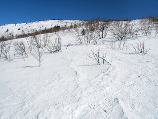 深い雪に覆われた高山帯(長野県･根子岳)