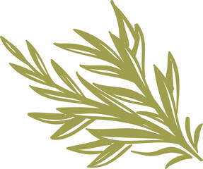 Decor leaves. Hand drawn greenery branches