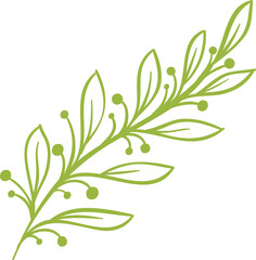 Decor leaves. Hand drawn greenery branches