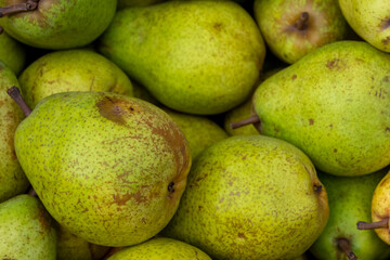 harvested pears with a view from above