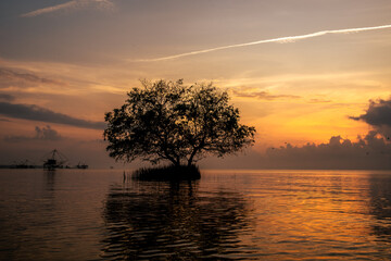 Fototapeta na wymiar Trees in the lake at sunset
