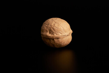 One walnut on a black background in the center of the screen