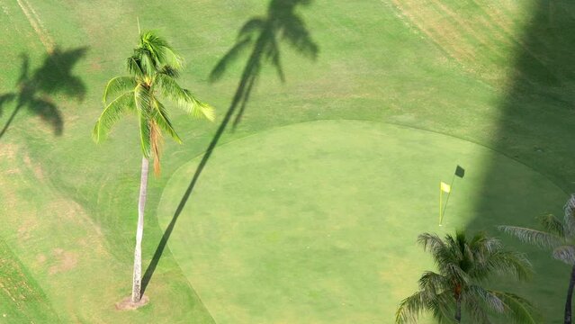 Golf field in tropics in 4k slow motion 60fps